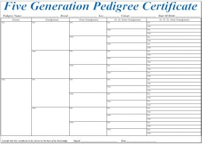 blank dog pedigree chart printable